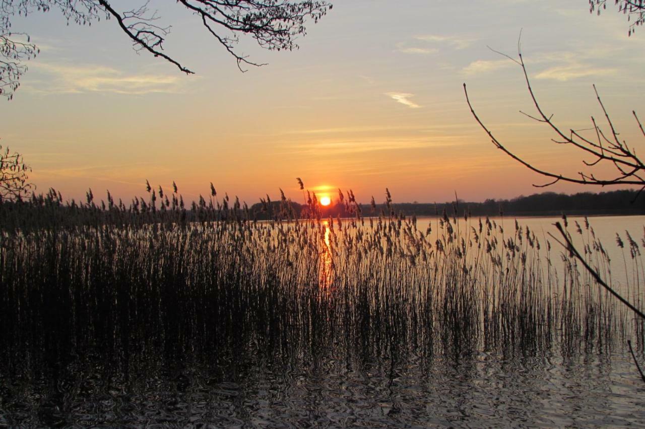 Ferienhaus Mit 2 Fewo In Mecklenburg Apartment Wesenberg Bagian luar foto